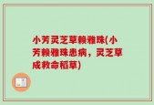 小芳灵芝草赖雅珠(小芳赖雅珠患病，灵芝草成救命稻草)