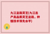 九江盆栽灵芝(九江出产高品质灵芝盆栽，种植技术领先水平)