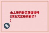山上采的野灵芝值钱吗(野生灵芝采摘有价？)