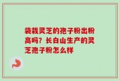 袋栽灵芝的孢子粉出粉高吗？长白山生产的灵芝孢子粉怎么样