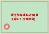 灵芝加穿破石功效(灵芝穿石：疗效神奇)