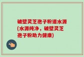 破壁灵芝孢子粉道水源(水源纯净，破壁灵芝孢子粉助力健康)