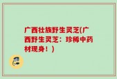 广西壮族野生灵芝(广西野生灵芝：珍稀中药材现身！)