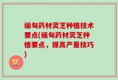 缅甸药材灵芝种植技术要点(缅甸药材灵芝种植要点，提高产量技巧)