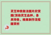 灵芝种类做法图片欣赏图(顶级灵芝品种，各具特色，精美制作流程图赏析