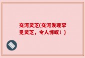 交河灵芝(交河发现罕见灵芝，令人惊叹！)