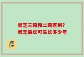 灵芝三萜和二萜区别？灵芝最长可生长多少年