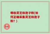 哪收灵芝和孢子粉(如何正确采集灵芝和孢子粉？)