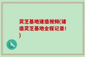 灵芝基地建造视频(建造灵芝基地全程记录！)