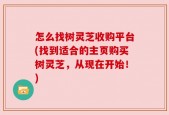 怎么找树灵芝收购平台(找到适合的主页购买树灵芝，从现在开始！)