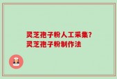 灵芝孢子粉人工采集？灵芝孢子粉制作法
