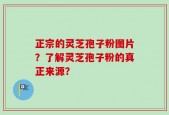正宗的灵芝孢子粉图片？了解灵芝孢子粉的真正来源？