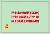 迁安市种植灵芝基地(迁安打造灵芝产业 建成干货灵芝种植基地)