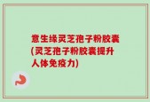 意生缘灵芝孢子粉胶囊(灵芝孢子粉胶囊提升人体免疫力)