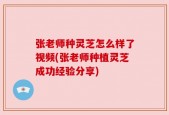 张老师种灵芝怎么样了视频(张老师种植灵芝成功经验分享)
