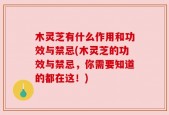 木灵芝有什么作用和功效与禁忌(木灵芝的功效与禁忌，你需要知道的都在这！)