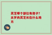 灵芝哪个部位有孢子？太岁肉灵芝长在什么地方