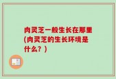 肉灵芝一般生长在那里(肉灵芝的生长环境是什么？)