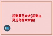 武夷灵芝大余(武夷山灵芝亮相大余县)