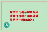 破壁灵芝孢子粉能起到重要作用吗？详解破壁灵芝孢子粉的功效？