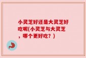 小灵芝好还是大灵芝好吃呢(小灵芝与大灵芝，哪个更好吃？)