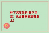 林下灵芝生料(林下灵芝：从山林采摘到餐桌上)