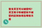 整支灵芝可以破壁吗？灵芝袍子粉破壁和不破壁的区别体现在哪些方面