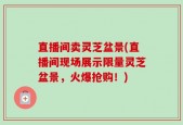 直播间卖灵芝盆景(直播间现场展示限量灵芝盆景，火爆抢购！)
