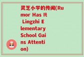 灵芝小学的传闻(Rumor Has It Lingzhi Elementary School Gains Attention)