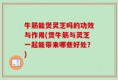 牛筋能煲灵芝吗的功效与作用(煲牛筋与灵芝一起能带来哪些好处？)