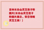 吉林长白山灵芝孢子粉图片(长白山灵芝孢子粉图片展示，带您领略灵芝之美！)