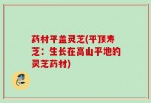 药材平盖灵芝(平顶寿芝：生长在高山平地的灵芝药材)