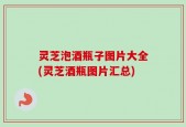 灵芝泡酒瓶子图片大全(灵芝酒瓶图片汇总)