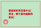 爱搞笑的灵芝是什么(灵芝，那个喜欢幽默的家伙)
