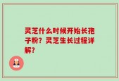 灵芝什么时候开始长孢子粉？灵芝生长过程详解？