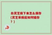 白灵芝摘下来怎么保存(灵芝采摘后如何储存？)