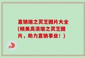 直销瑞之灵芝图片大全(精美高清瑞之灵芝图片，助力直销事业！)