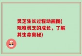 灵芝生长过程动画图(观察灵芝的成长，了解其生命奥秘)