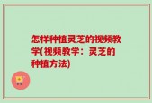 怎样种植灵芝的视频教学(视频教学：灵芝的种植方法)