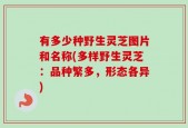 有多少种野生灵芝图片和名称(多样野生灵芝：品种繁多，形态各异)