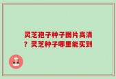 灵芝孢子种子图片高清？灵芝种子哪里能买到