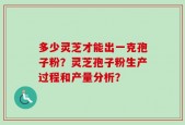 多少灵芝才能出一克孢子粉？灵芝孢子粉生产过程和产量分析？