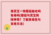 像灵芝一样蘑菇能吃吗有毒吗(蘑菇与灵芝同样神奇？了解其毒性与食用方法)