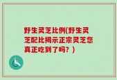 野生灵芝比例(野生灵芝配比揭示正宗灵芝您真正吃到了吗？)