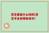 灵芝里面什么样的(灵芝中含有哪些成分？