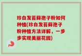 珍白发苔藓孢子粉如何种植(珍白发苔藓孢子粉种植方法详解，一步步实现美丽花园)
