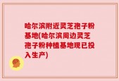 哈尔滨附近灵芝孢子粉基地(哈尔滨周边灵芝孢子粉种植基地现已投入生产)