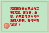 灵芝西洋参虫草加肉苁蓉(灵芝、西洋参、虫草、肉苁蓉可谓补气养生四大神物，有何神奇功效？)