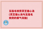 五指毛桃煲灵芝猪心汤(灵芝猪心汤与五指毛桃煲的香气交融)
