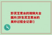 野灵芝煮水的视频大全图片(野生灵芝煮水的美妙过程全记录!)